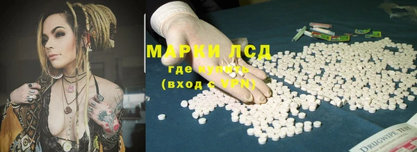 PSILOCYBIN Армянск