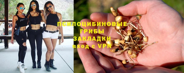 PSILOCYBIN Армянск